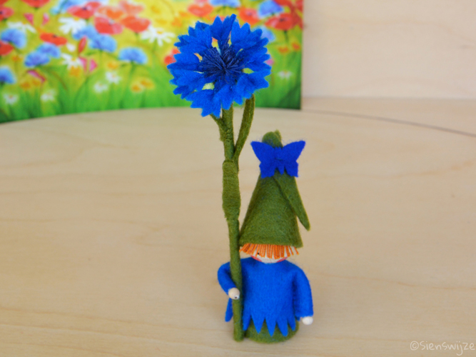 korenbloem 1
